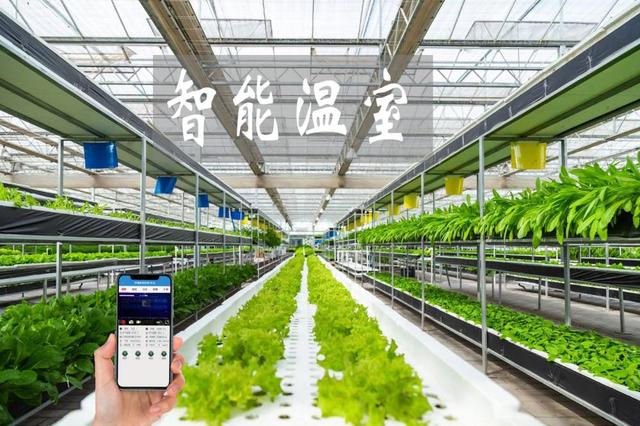 農(nóng)業(yè)物聯(lián)網(wǎng)賦能傳統(tǒng)大棚升級，手機管控溫濕度引領(lǐng)智能農(nóng)業(yè)新時代