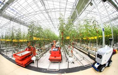 點點手機就能管理大棚，濰坊壽光以數字化賦能蔬菜產業升級