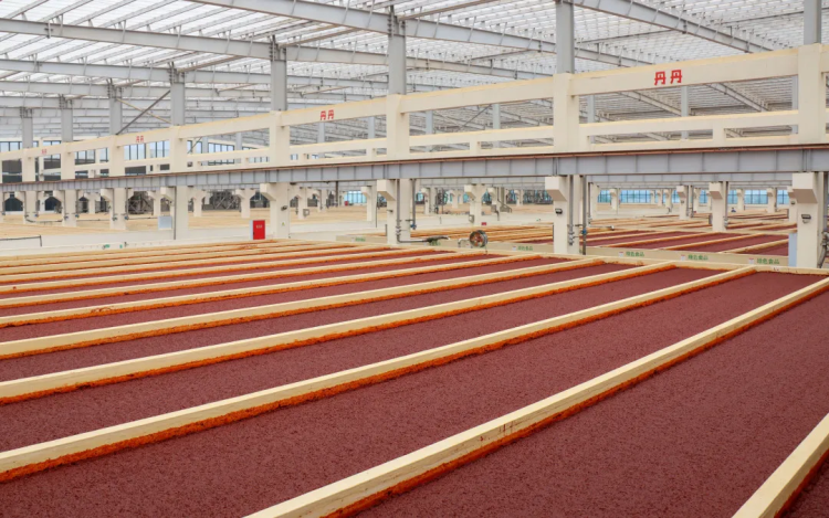 入選國家級重點培育名單！這勺郫縣豆瓣藏著川味的“世界通行證”與智能農業管理